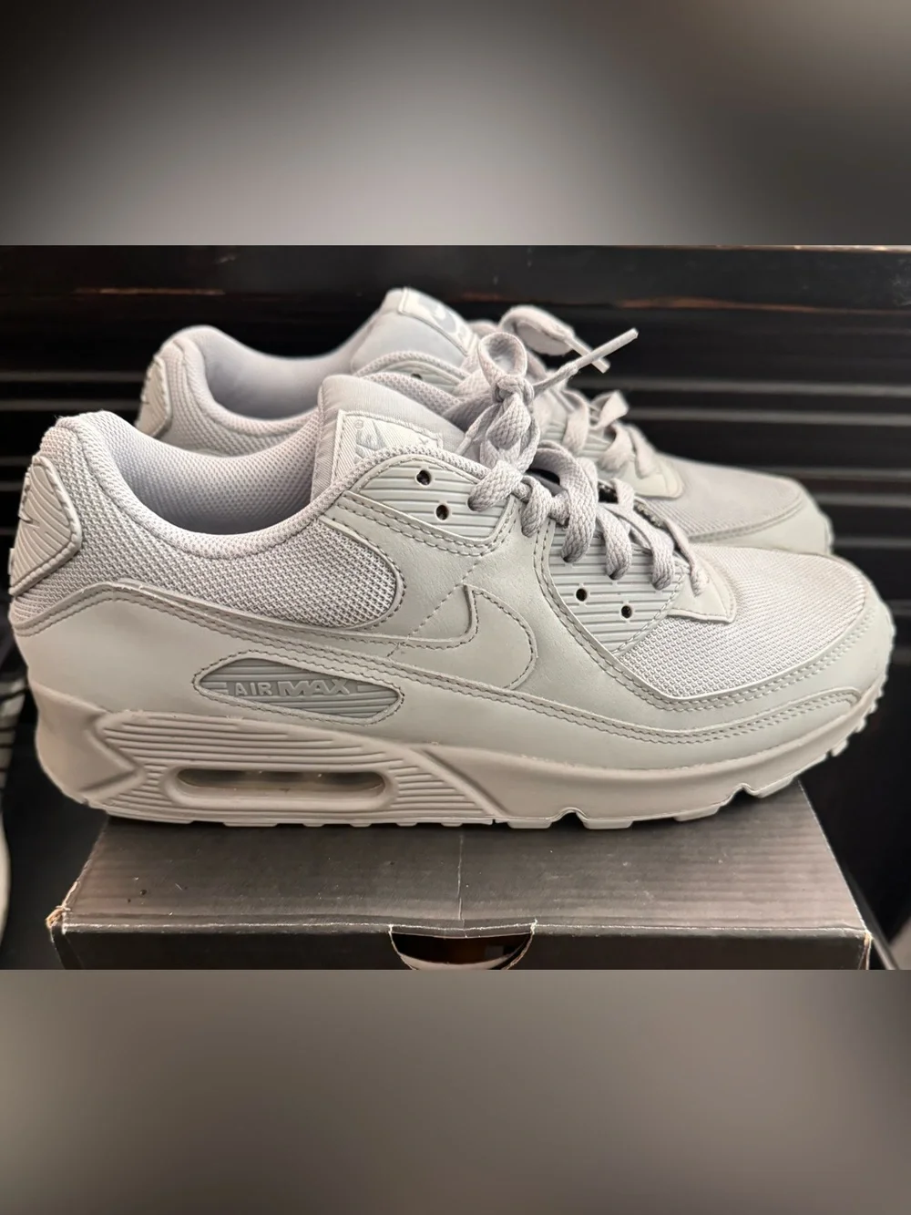 Nike Air Max 90 Sneakers in Light Grey